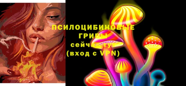 марихуана Гусиноозёрск