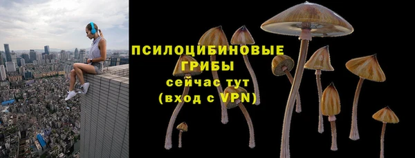 СК Гусь-Хрустальный