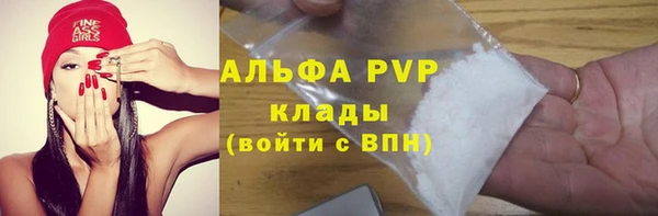 СК Гусь-Хрустальный