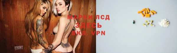 СК Гусь-Хрустальный
