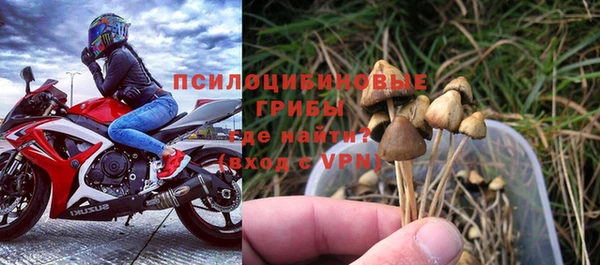 ECSTASY Гусев