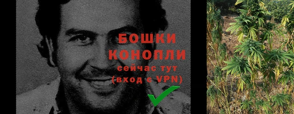 ECSTASY Гусев