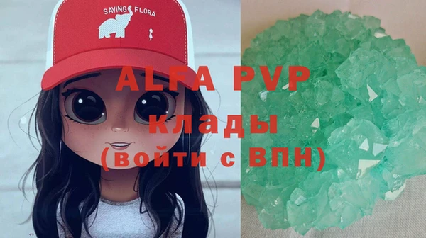 СК Гусь-Хрустальный