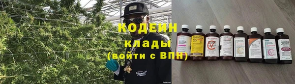 СК Гусь-Хрустальный