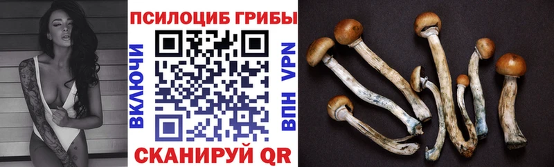 Купить закладки  Томари  Псилоцибиновые грибы MAGIC MUSHROOMS 
